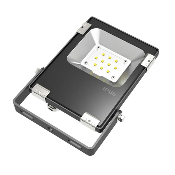 10W Floodlight